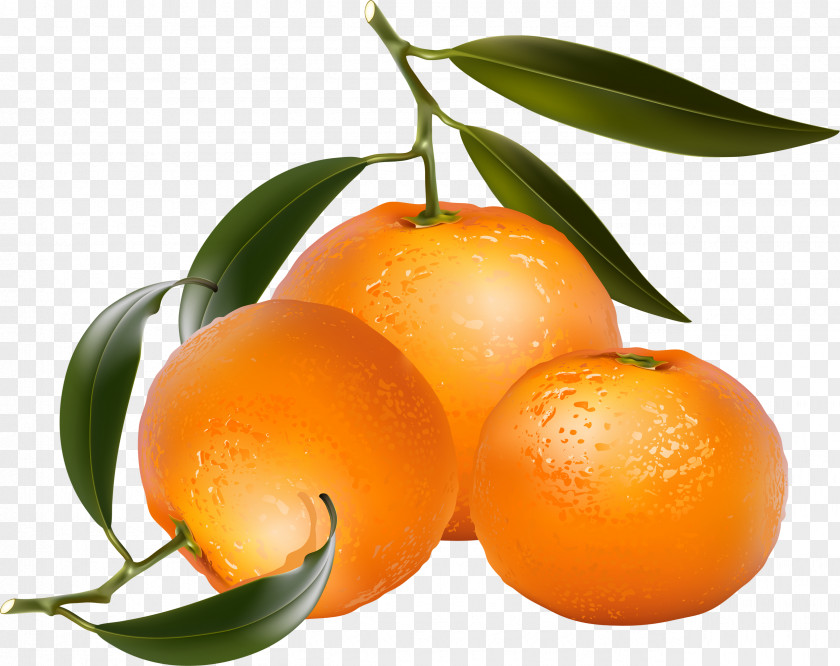 Orange Tangerine Mandarin Photography Royalty-free PNG
