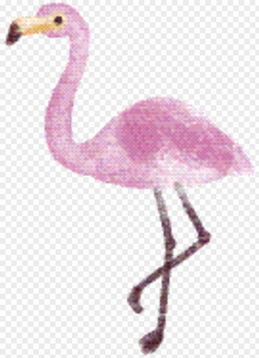 Ratite Cranelike Bird Pink Flamingo PNG