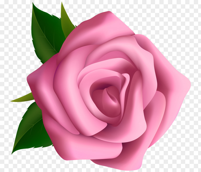 Rose Clip Art Garden Roses Openclipart Image PNG