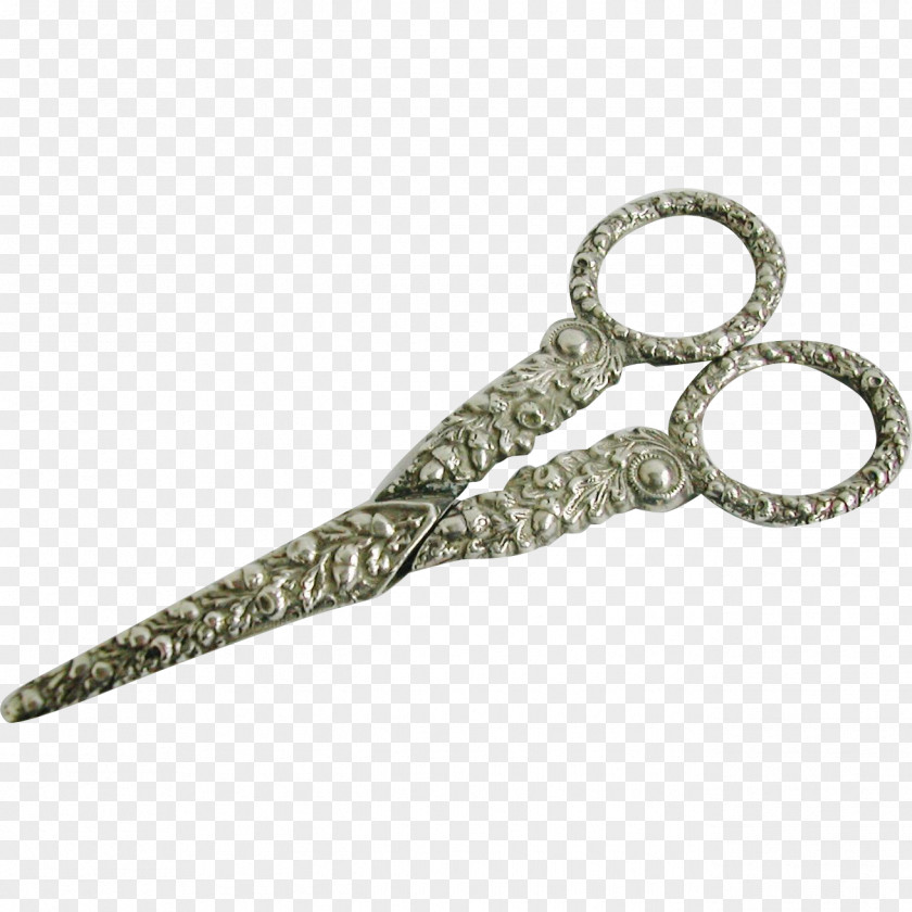 Scissors Reptile PNG