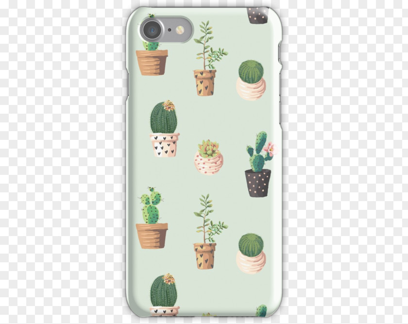 Baby Cactus Cactaceae Garden Desktop Wallpaper Succulent Plant PNG