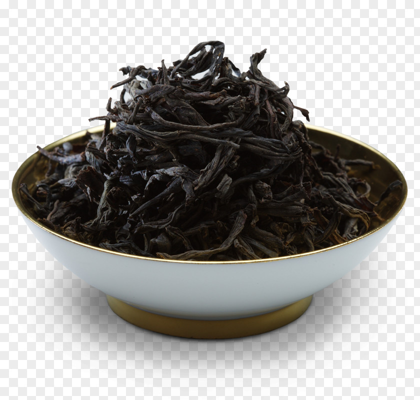 BlackTea Nilgiri Tea Lapsang Souchong Tsukudani Plant Sea PNG