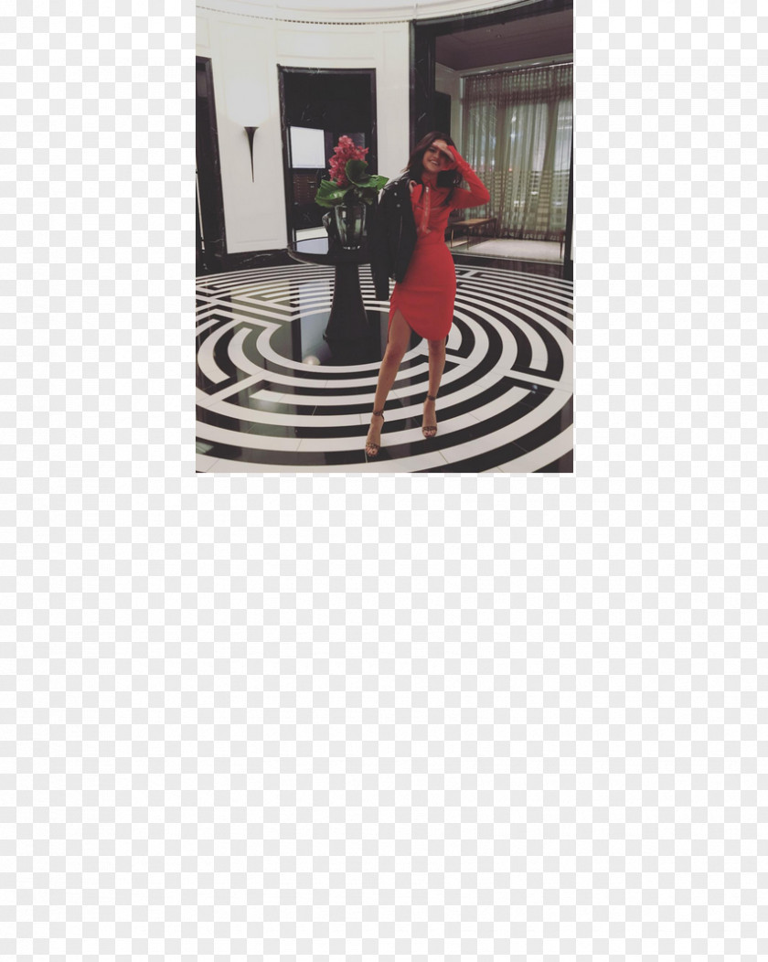 Capture 2017 Met Gala Dress Red Carpet Celebrity Clothing PNG
