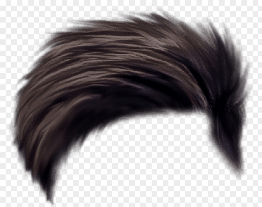 Costume Feathered Hair Cartoon PNG