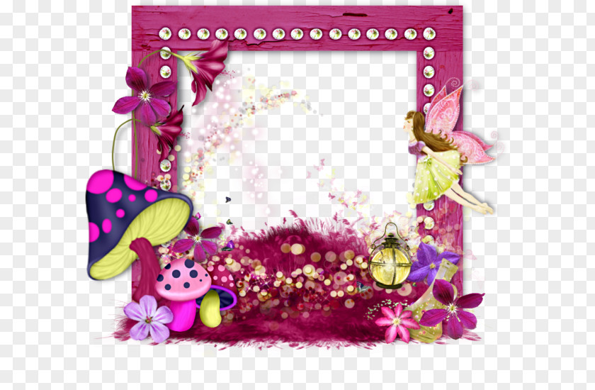 Floral Design Picture Frames Photography Clip Art PNG