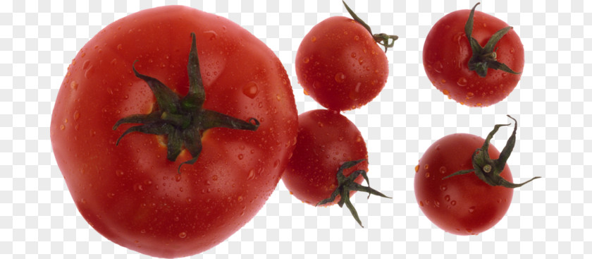 Tomato Plum Bush Soup Food PNG