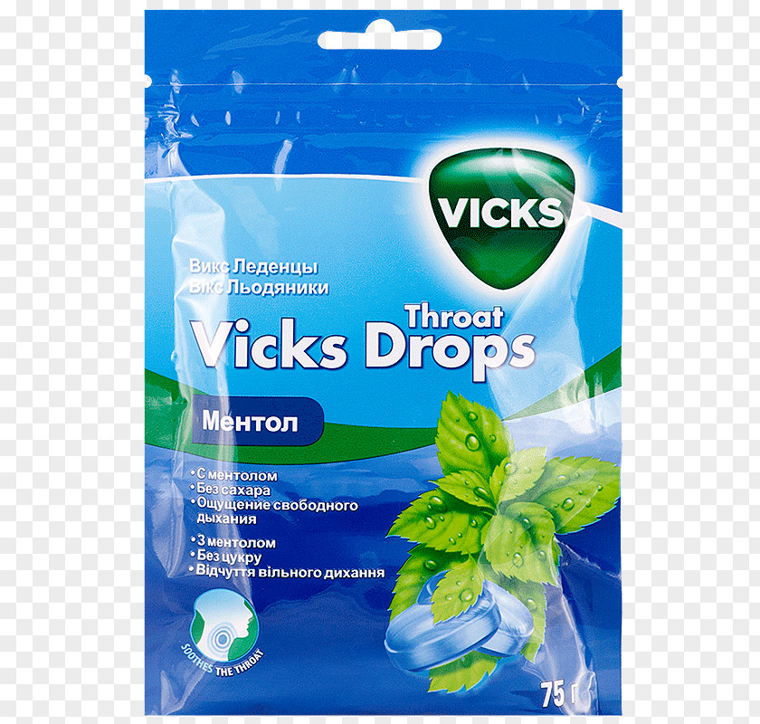 Water Liquid Vicks Thermometer PNG