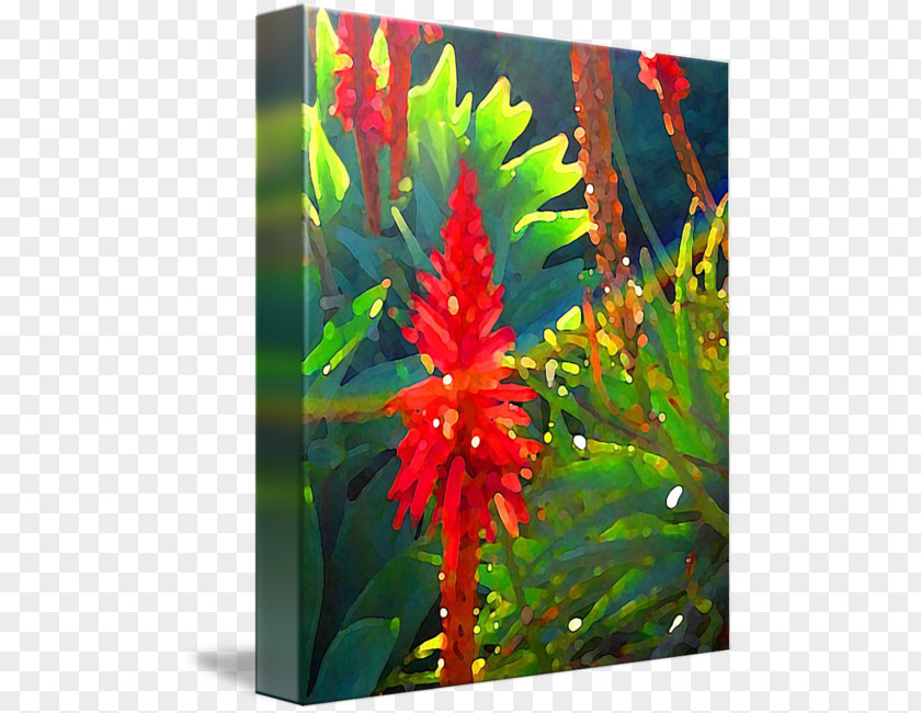 Aloe Arborescens Canvas Art Flowering Plant Aquatic Plants PNG