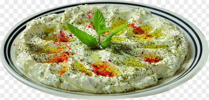 Cheese Hummus Baba Ghanoush Lebanese Cuisine Kibbeh Shanklish PNG