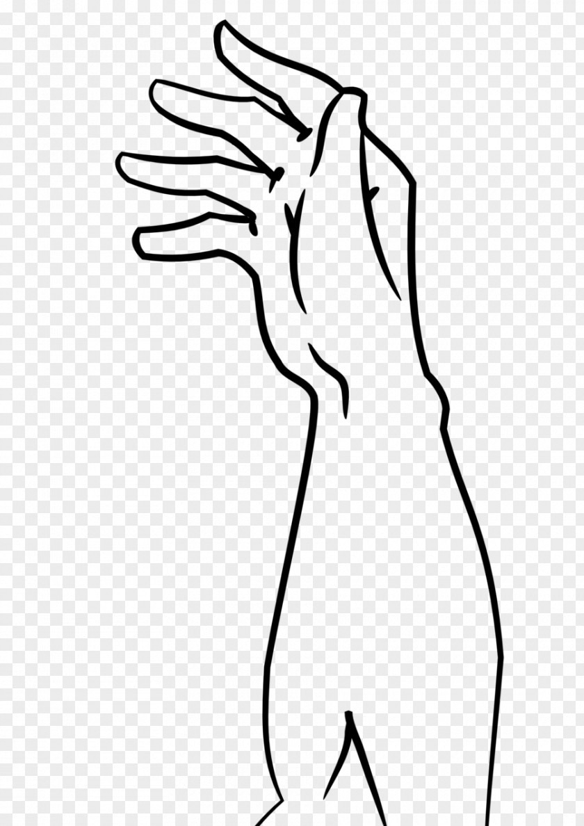 Hand Thumb Drawing Line Art Human Anatomy Clip PNG