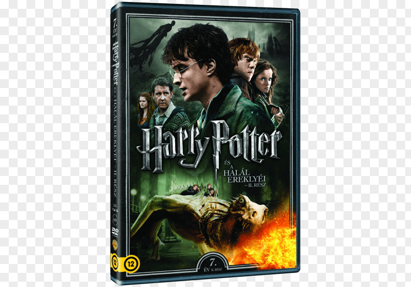 Harry Potter And The Deathly Hallows – Part 2 Lord Voldemort 1 PNG