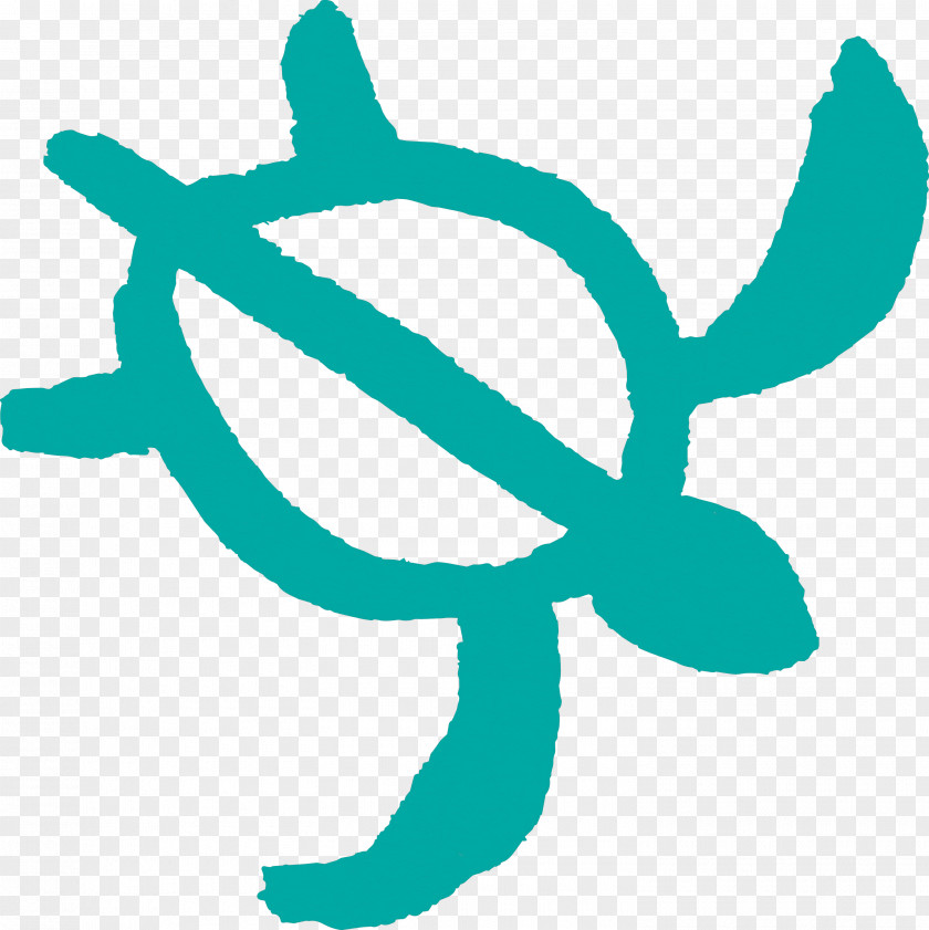 Turquoise Teal Symbol Logo PNG