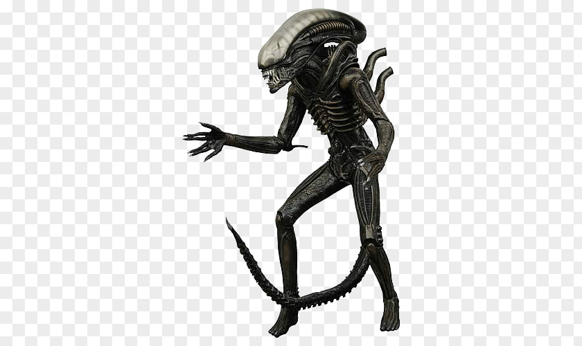 Aliens Alien Vs. Predator Action & Toy Figures National Entertainment Collectibles Association PNG