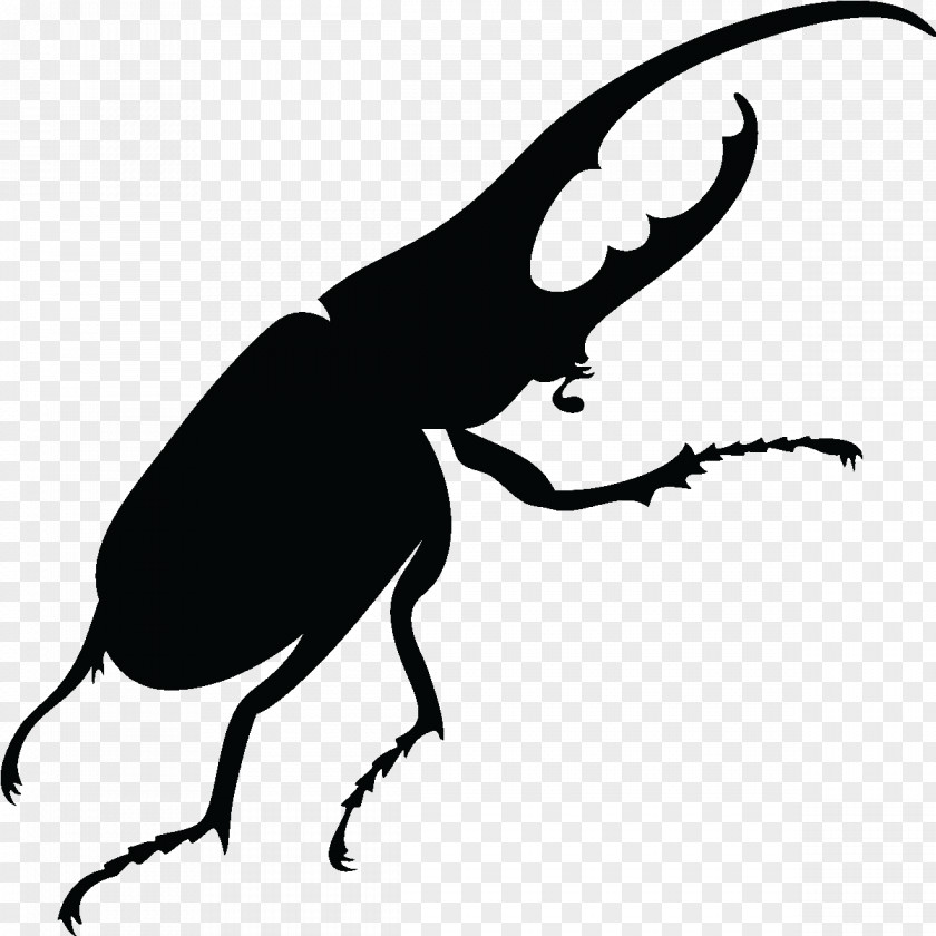 Beetle Vector Graphics Stock Photography Silhouette Royalty-free PNG