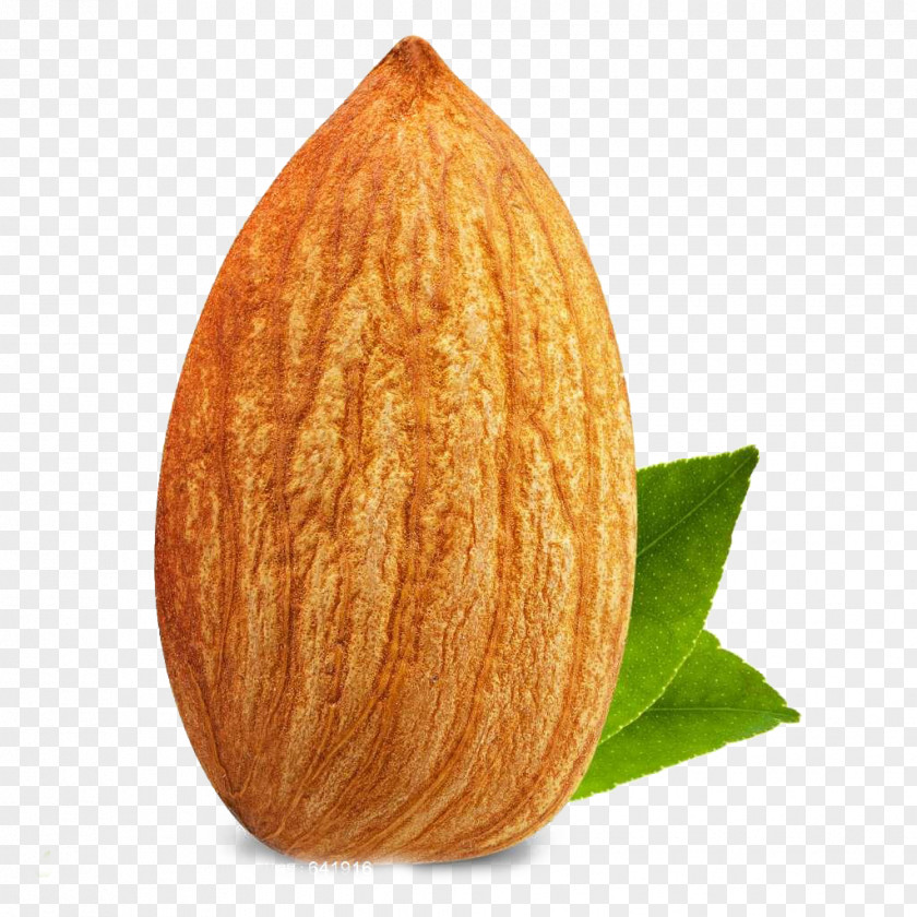 An Exquisite Almond Nut Dried Fruit PNG