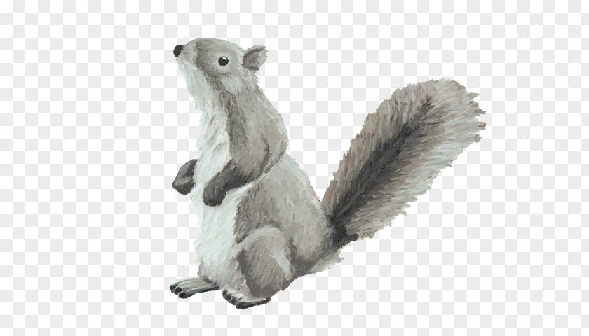 Animation Tail Squirrel Cartoon PNG