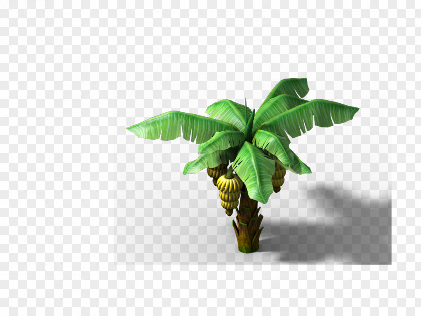 Banana Musa Basjoo Poster PNG