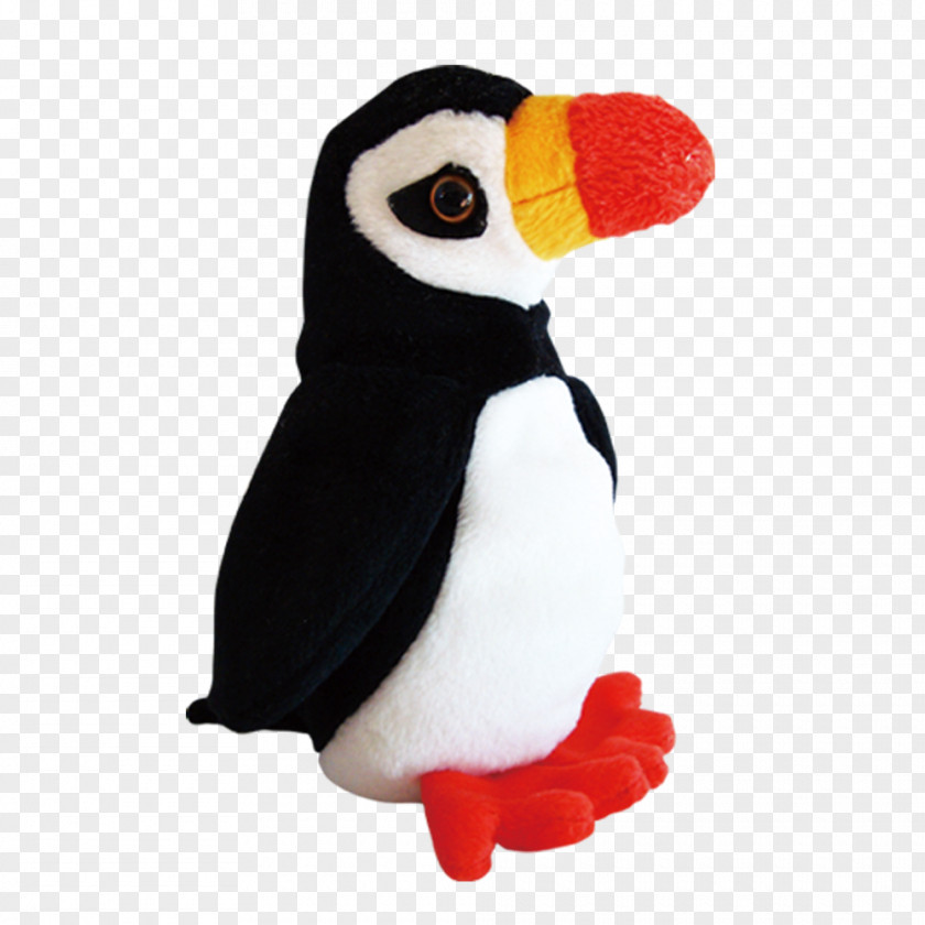 Cartoon Penguin Razorbill PNG