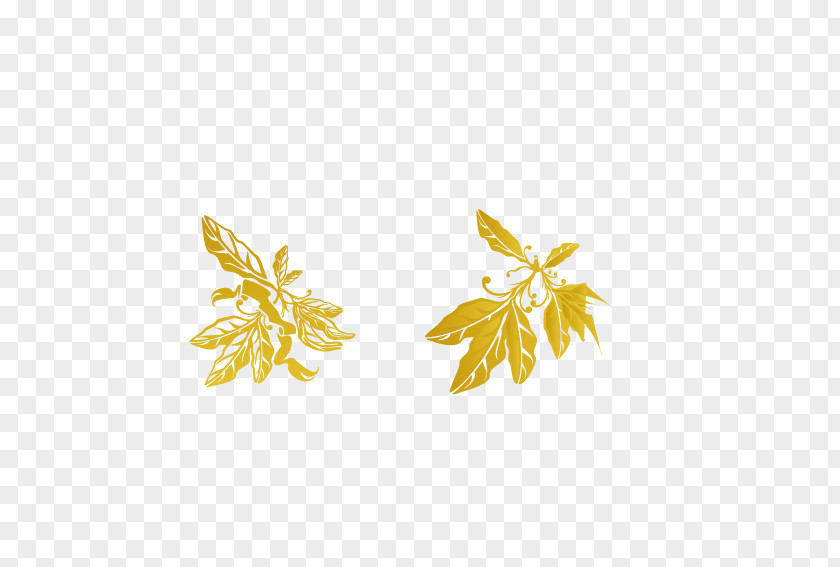 Fine Olive Leaf Yellow PNG