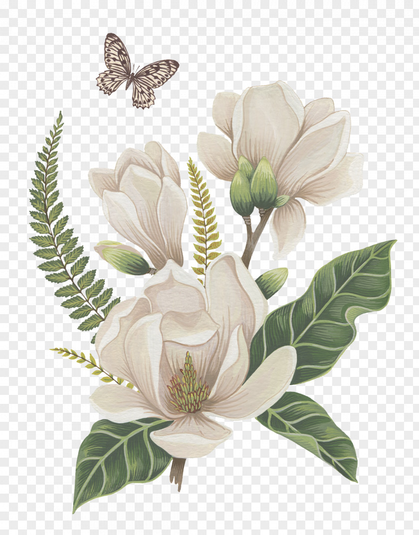 Flowers And Vegetation Flower Nosegay Illustration PNG