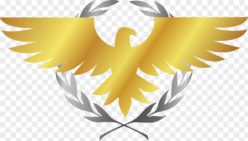 Gold Platinum Logo Silver Coin Bullion American Eagle PNG