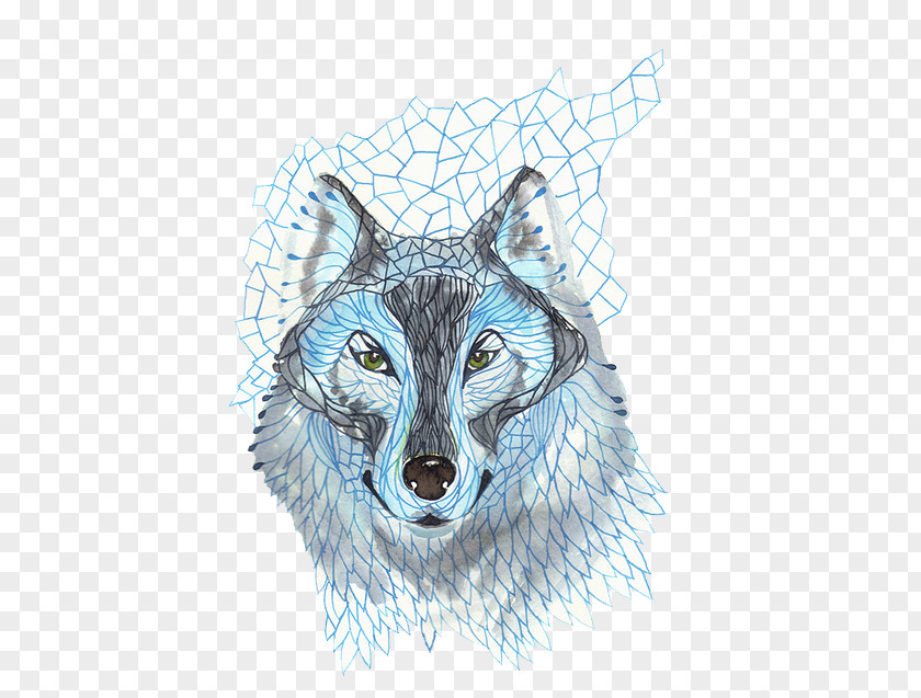 Hand-painted Animal Wolf Gray Thumbnail The And Fox PNG