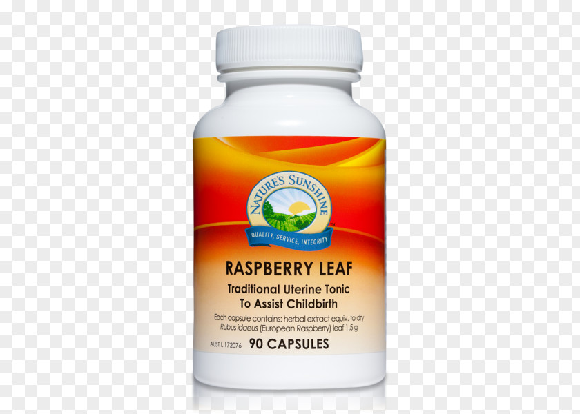 Raspberry Leaf Nature's Sunshine Products Capsule Herb Dietary Supplement PNG