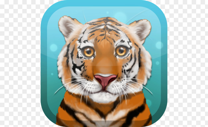 Tiger Whiskers Big Cat Dog PNG