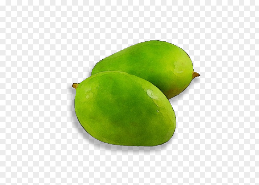 Tree Plant Green Fruit Food PNG