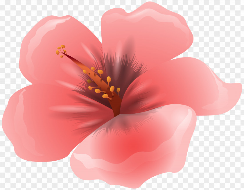 Large Pink Flower Clipart Image Clip Art PNG