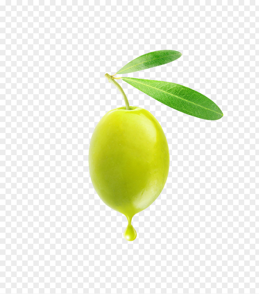 Olive Clip Art PNG