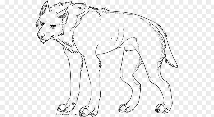 Painting Line Art Gray Wolf Dire Drawing Sketch PNG