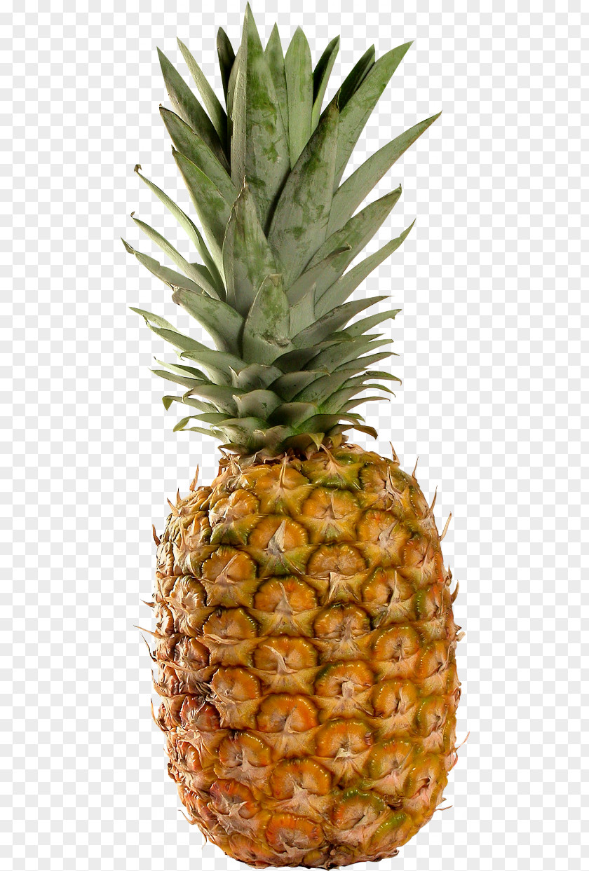 Pineapple Juice Smoothie Granita PNG
