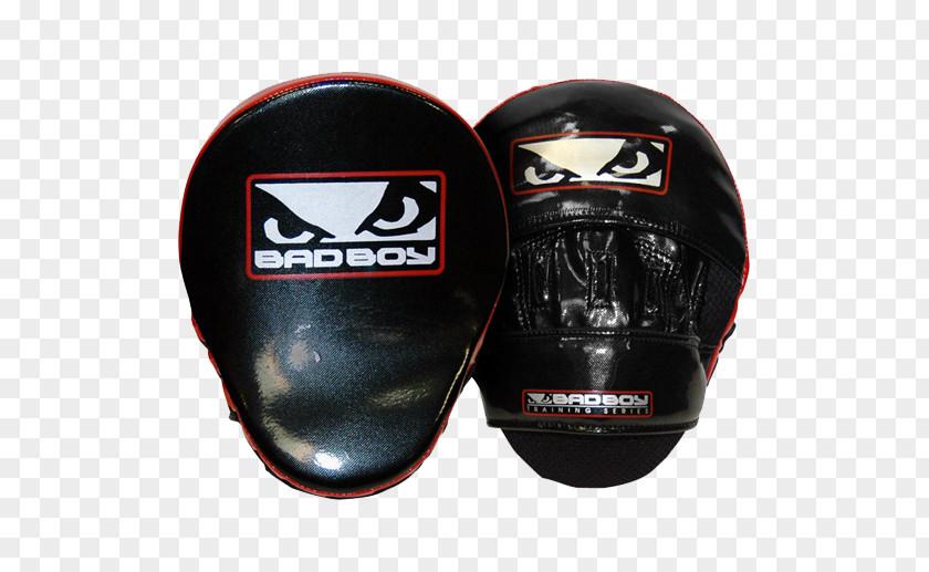 Boxing Glove Mixed Martial Arts Bad Boy MMA Gloves PNG