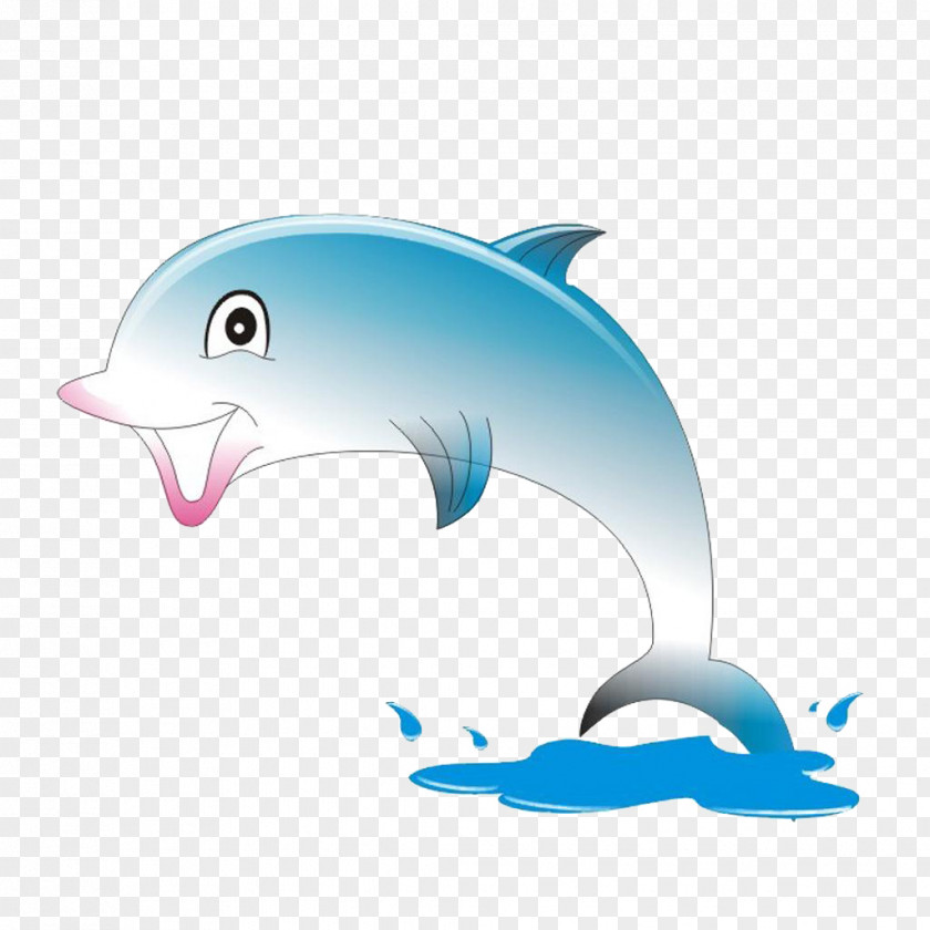 Cute Dolphin Cartoon Animation PNG