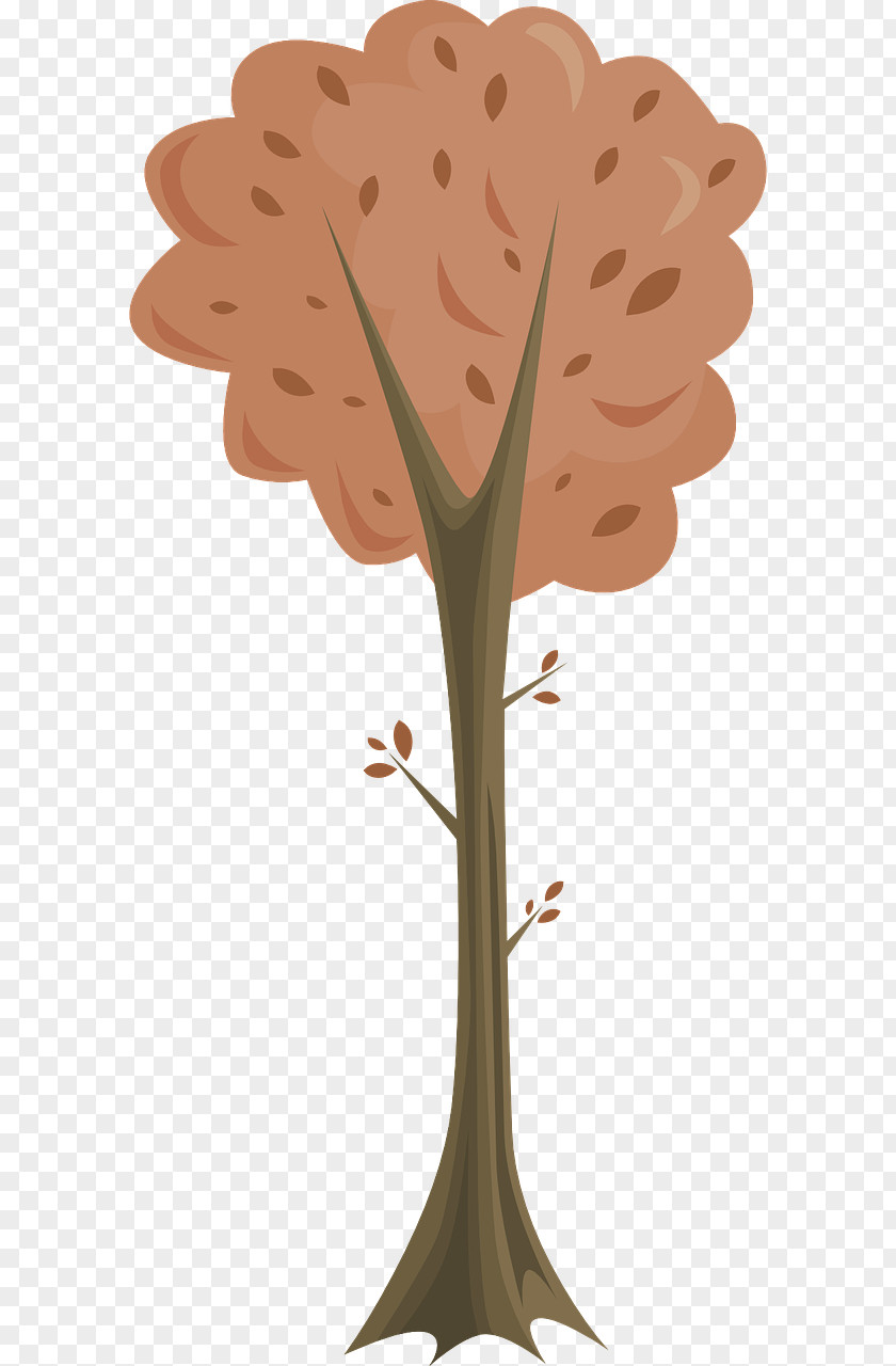 Fir-tree Autumn Tree PNG
