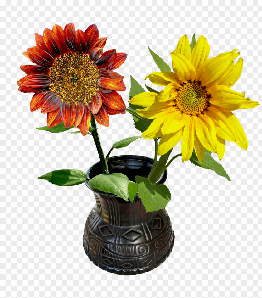 Flower Common Sunflower Flowerpot PNG
