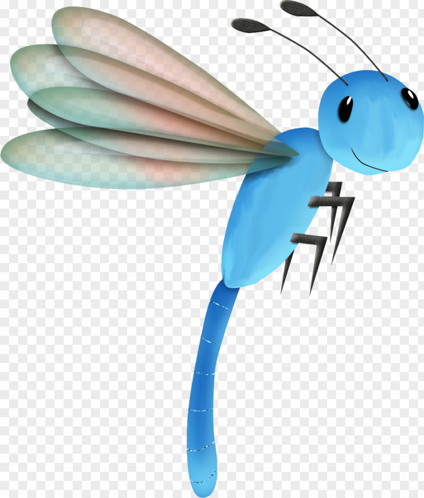 Insect Drawing Clip Art Image PNG