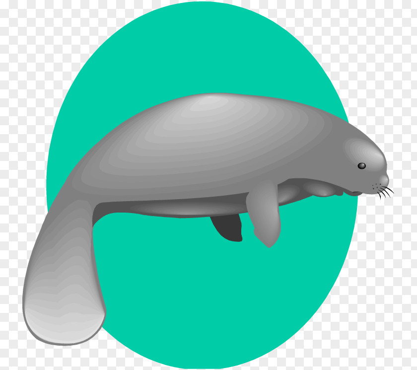 Manatees Background Clip Art Openclipart Manatee Image Free Content PNG