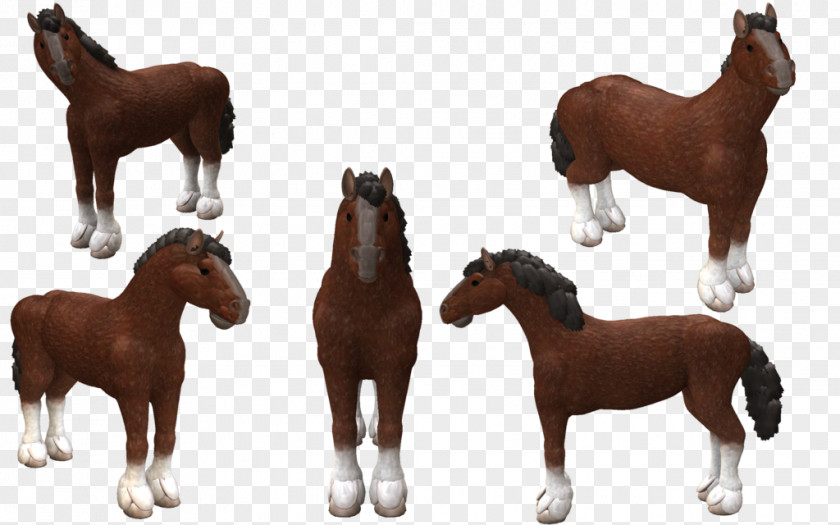 Mustang Spore Creatures Clydesdale Horse Foal PNG