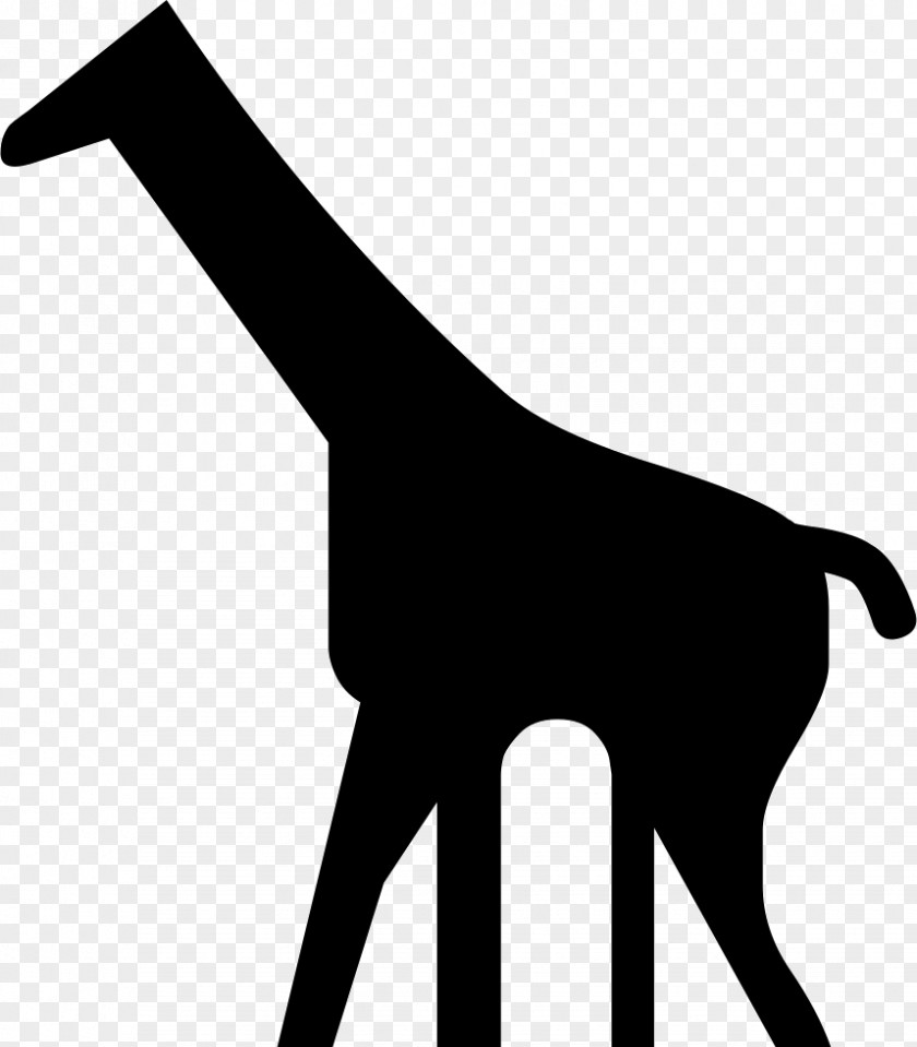 Northern Giraffe South African Clip Art PNG