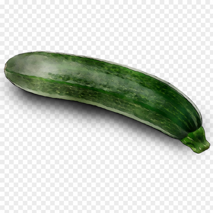 Pickled Cucumber PNG