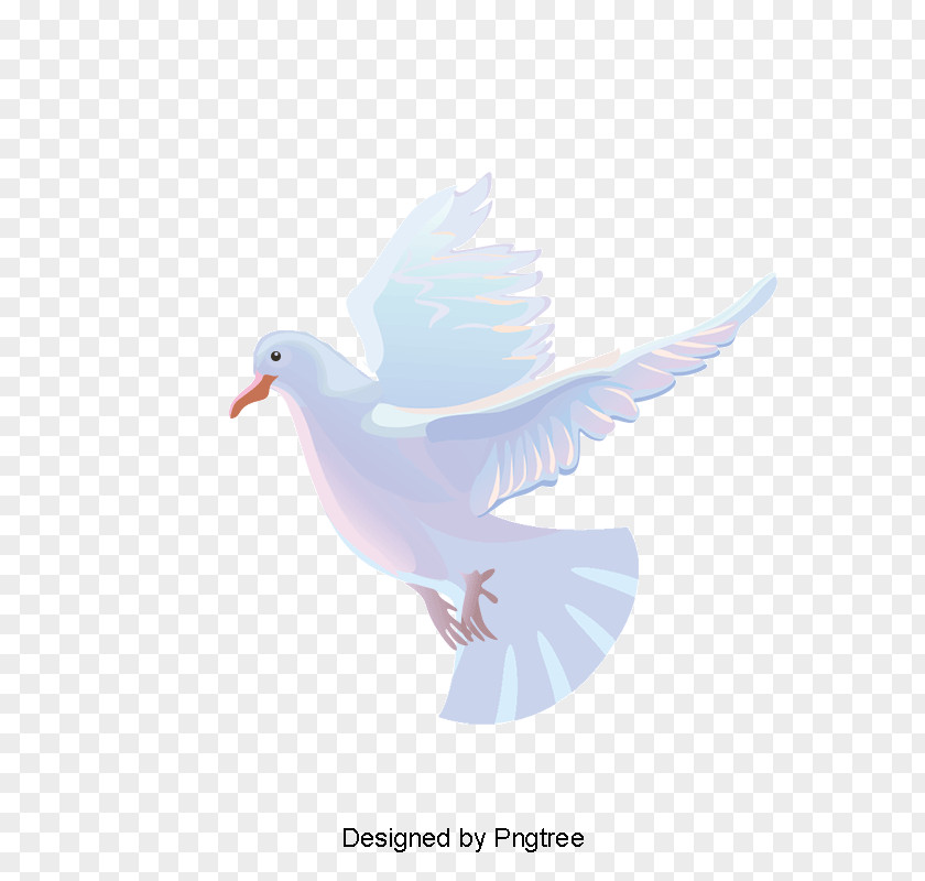 Pigeon Christmas Pigeons And Doves Rock Dove Vector Graphics As Symbols Illustration PNG