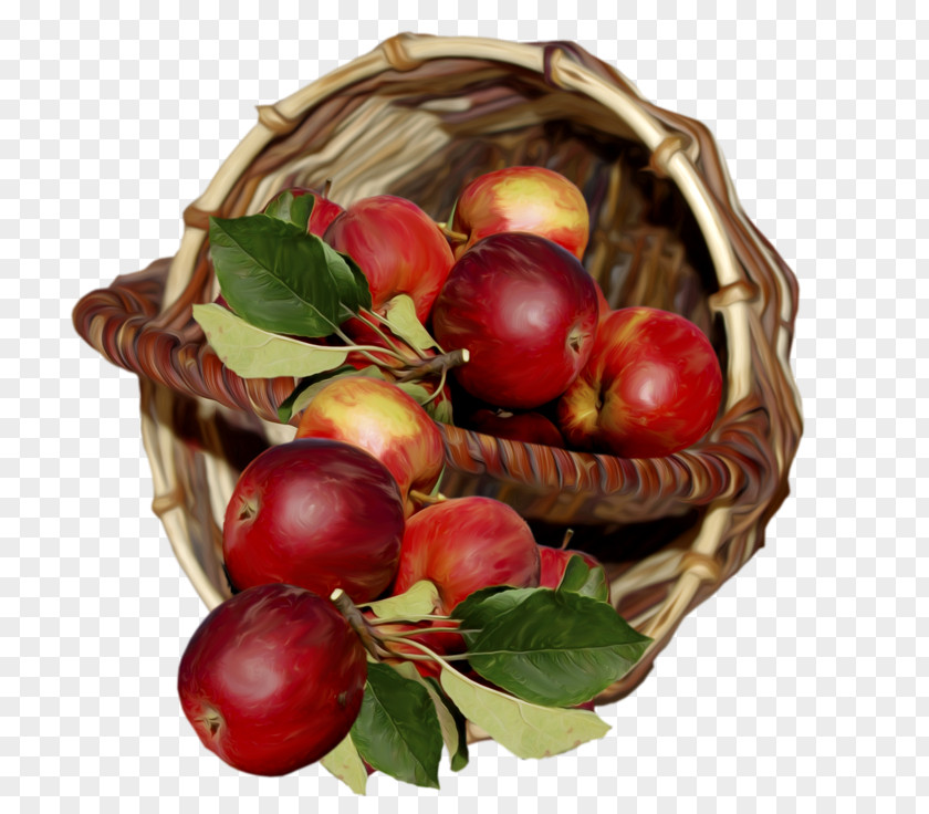 Apple Fruit Basket Lite PNG
