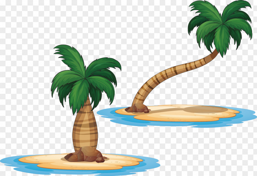 Coconut Beach Arecaceae Royalty-free Illustration PNG