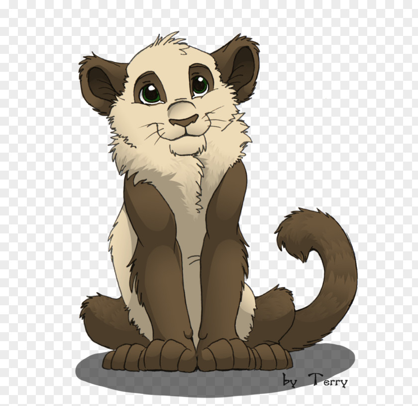 Lion Whiskers Tiger Cat Fur PNG