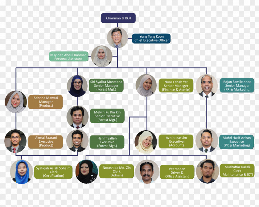 Organizational Structure Corporate Profiling Diagram PNG