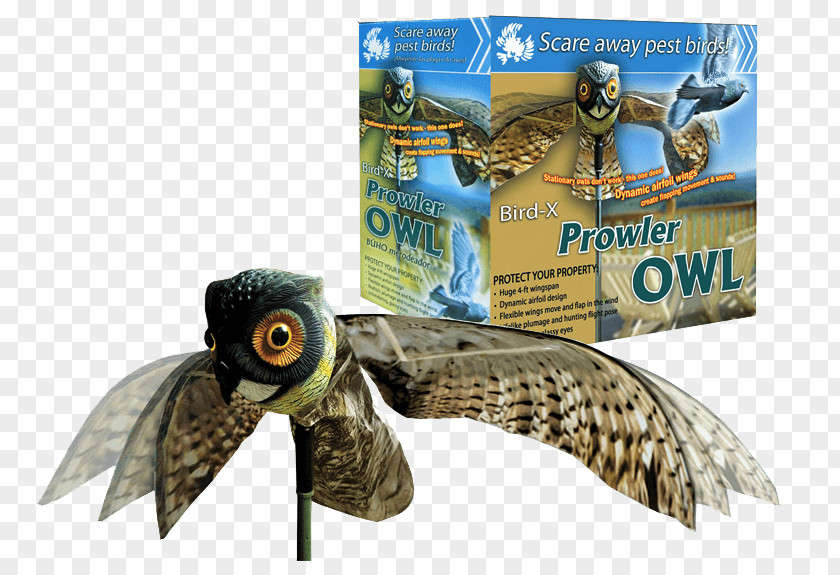 Owl Bird Scarer Decoy Control PNG