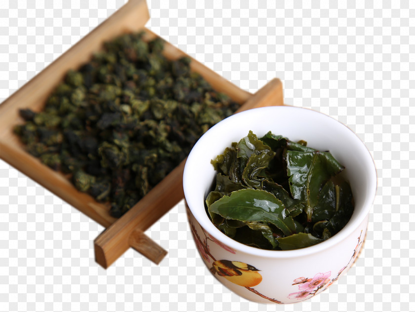 Tie Guanyin Tea Anxi County Nilgiri Tieguanyin Oolong PNG