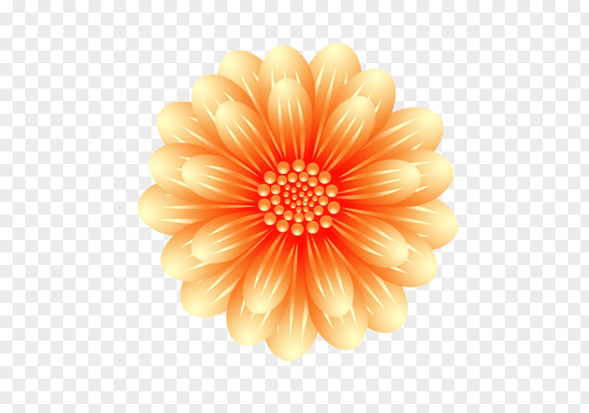 Chrysanthemum Flowers Creative Free Deduction Transvaal Daisy Cut PNG
